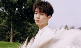 赵丽颖王俊凯最新爆料,揭秘幕后故事与情感纠葛